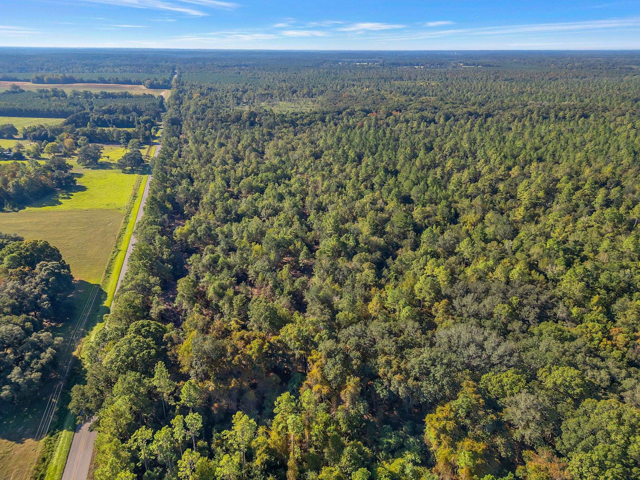 Lot#6 Glory Road Tallahassee, FL 32310 - Photo 4 of 11