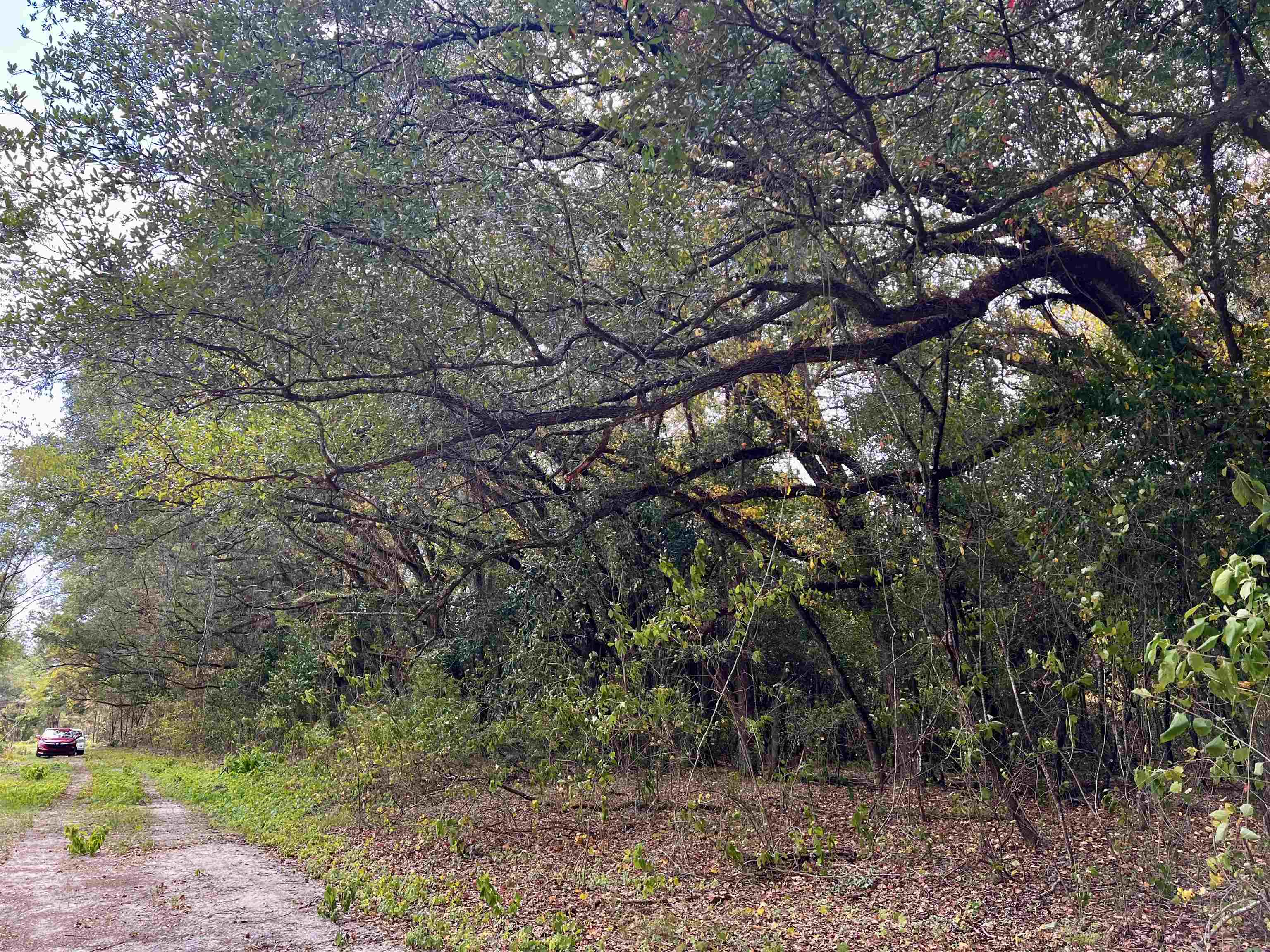 Lot#6 Glory Road Tallahassee, FL 32310 - Photo 8 of 11