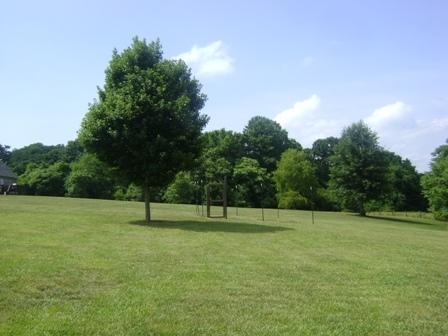 195 Bonbrook Road Wirtz, VA 24184 - Photo 29 of 29 27 Garden area
