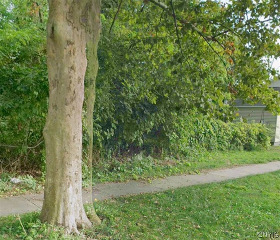 9 Tabor Street Lysander, NY 13027 - Photo 3 of 5