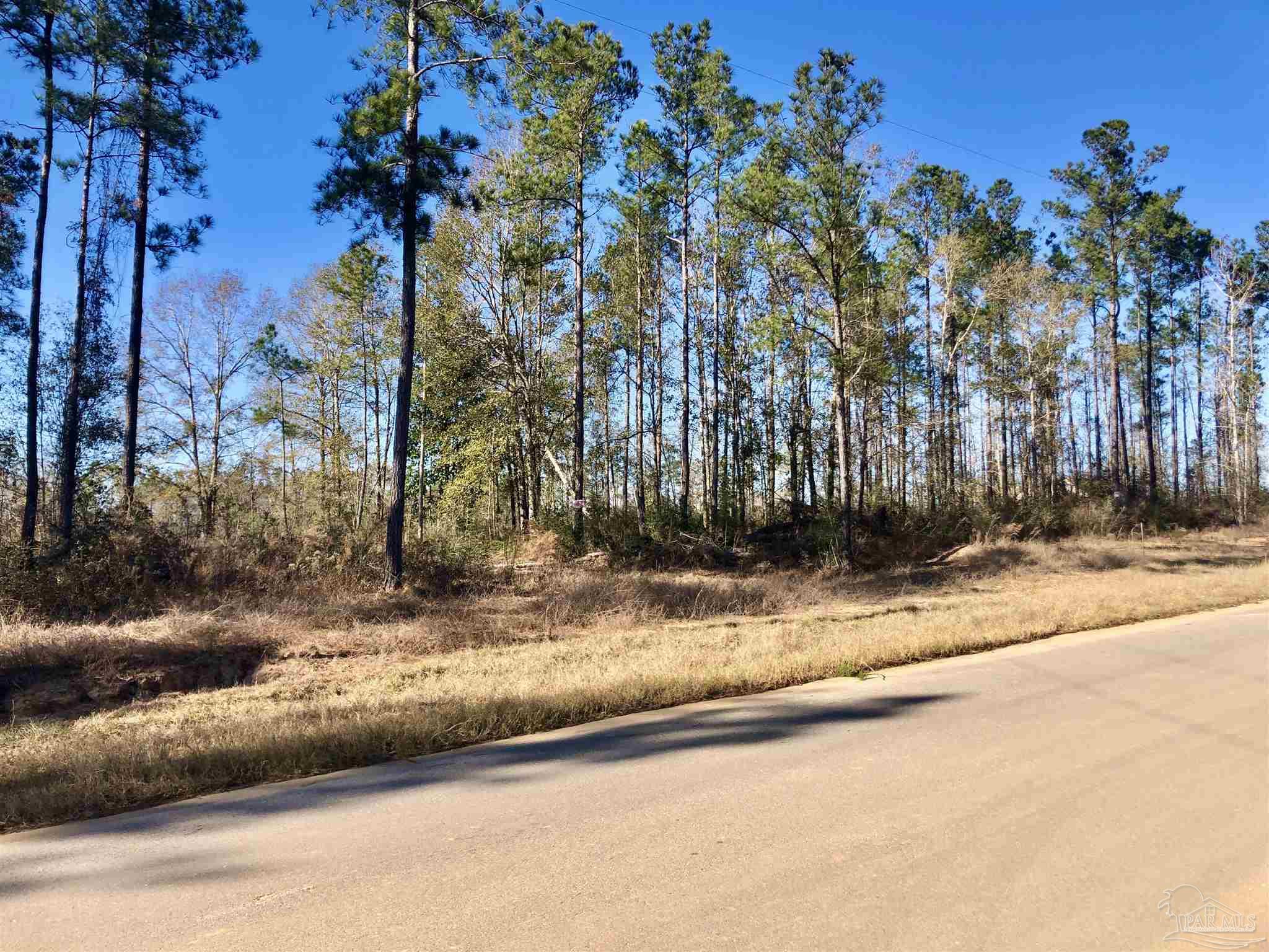 Lot 40-br Lot 40-br Buffalo Ridge Road Milton, FL 32571 - Photo 15 of 24