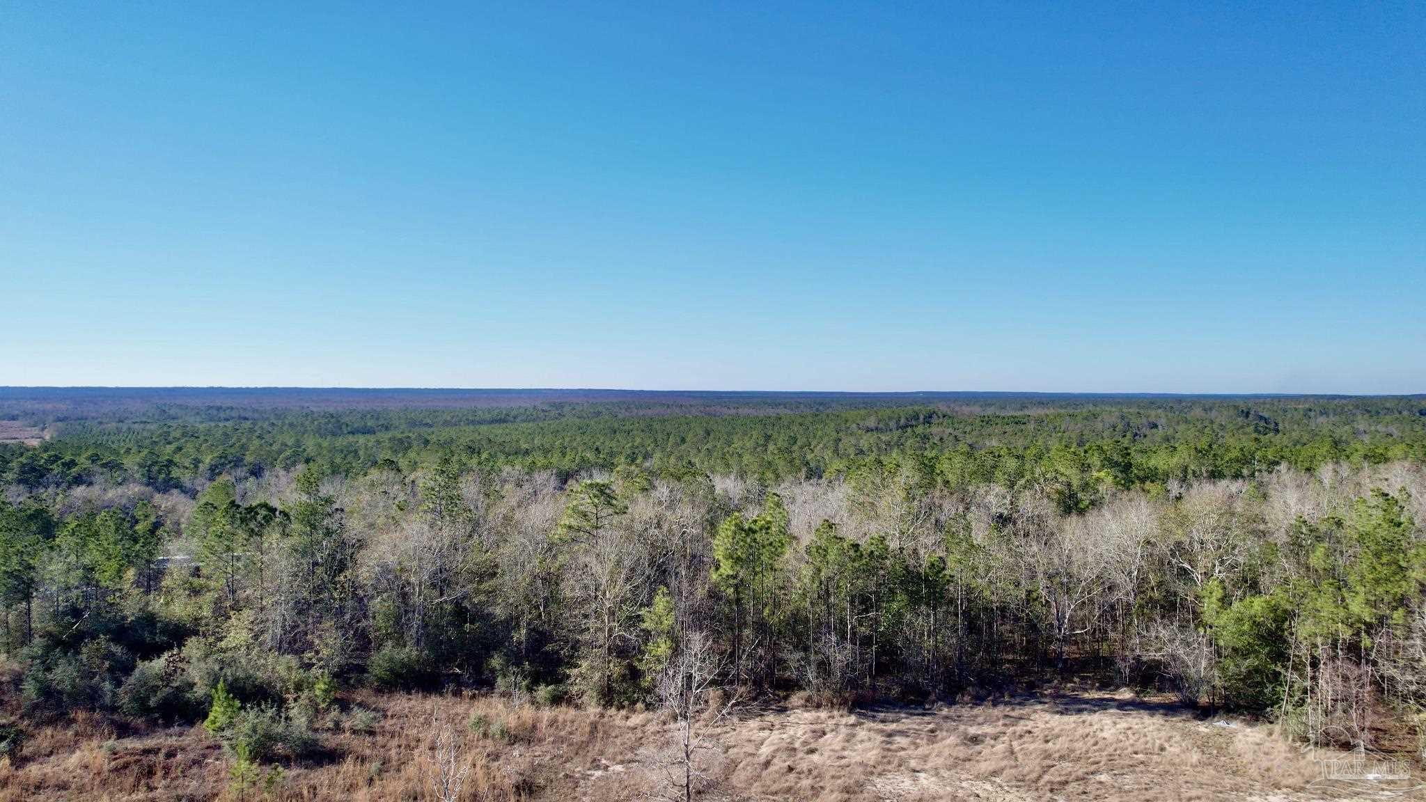 Lot 40-br Lot 40-br Buffalo Ridge Road Milton, FL 32571 - Photo 8 of 24