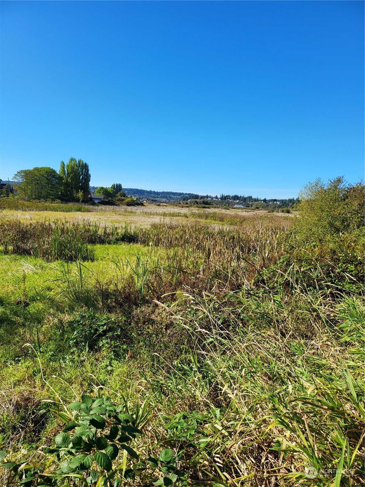 -lot C Sunlight Beach Road Clinton, WA 98236 - Photo 1 of 1 Gallery Image 1