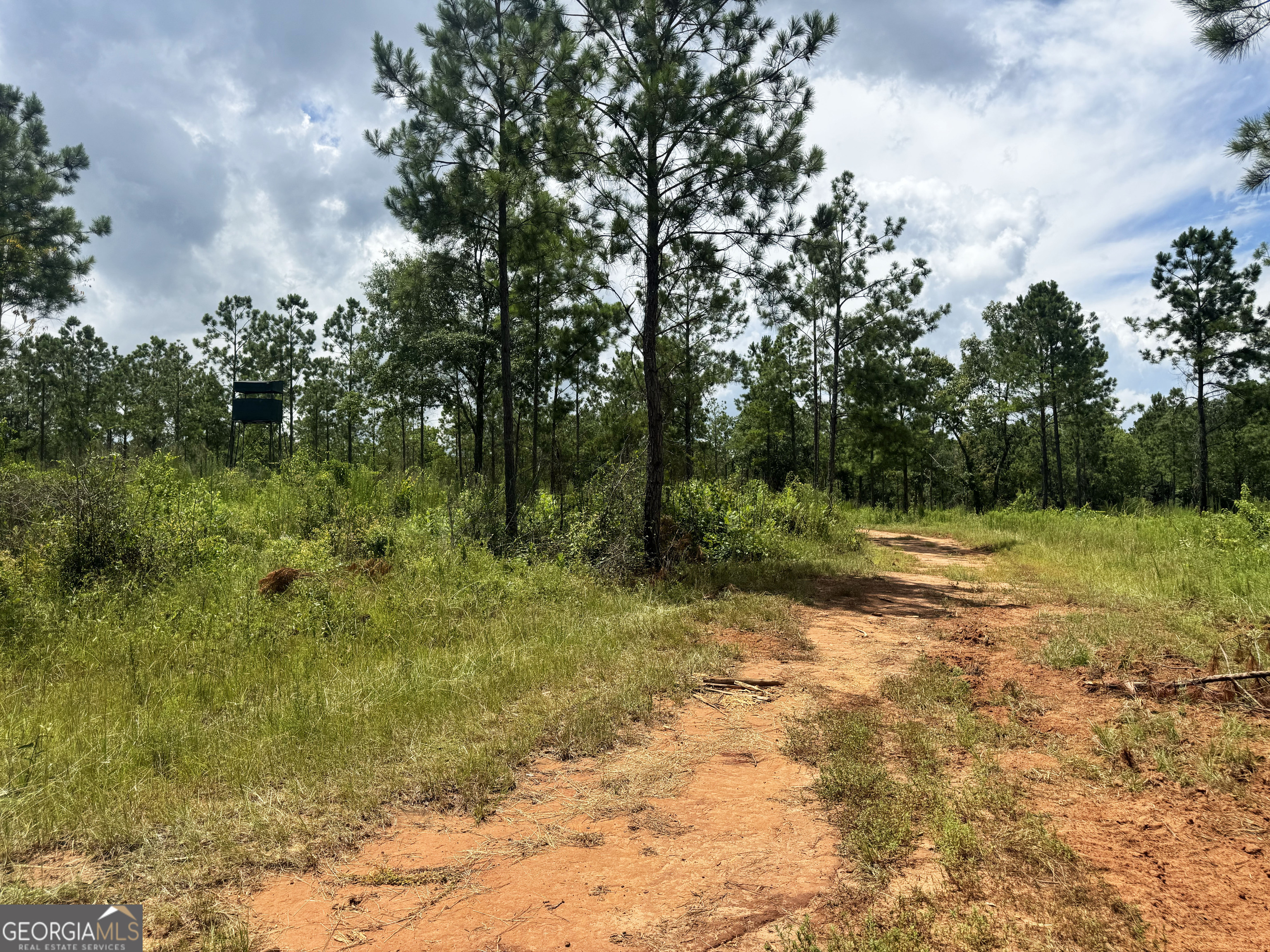 4066 Green Grove Road Lumpkin, GA 31815 - Photo 20 of 48 Gallery Image 20