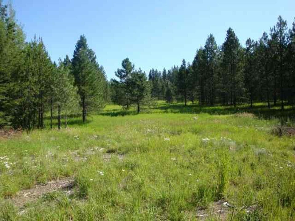 43-xx Lumberg Road Springdale, WA 99173 - Photo 14 of 37