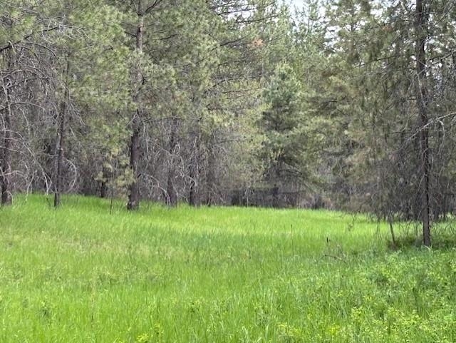 43-xx Lumberg Road Springdale, WA 99173 - Photo 15 of 37