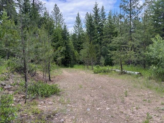 43-xx Lumberg Road Springdale, WA 99173 - Photo 24 of 37