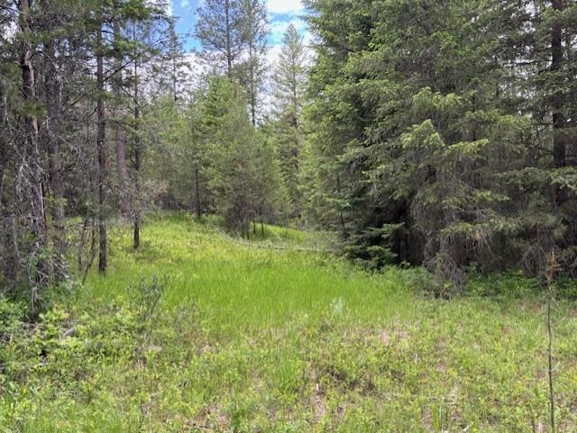 43-xx Lumberg Road Springdale, WA 99173 - Photo 25 of 37