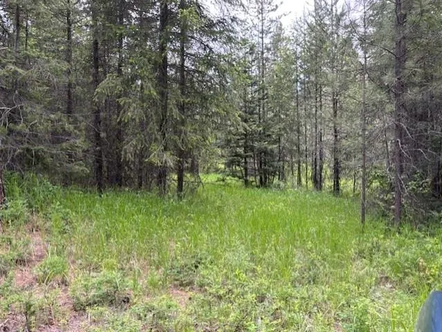 $169,900 | 43-xx Lumberg Road, Springdale, WA 99173