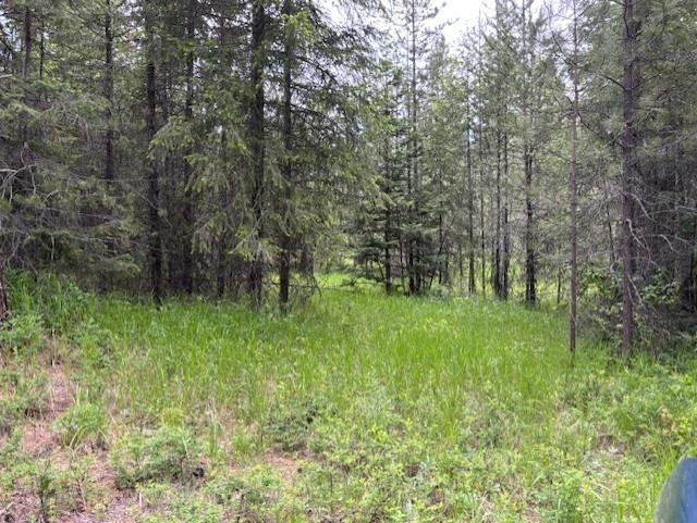 43-xx Lumberg Road Springdale, WA 99173 - Photo 26 of 37