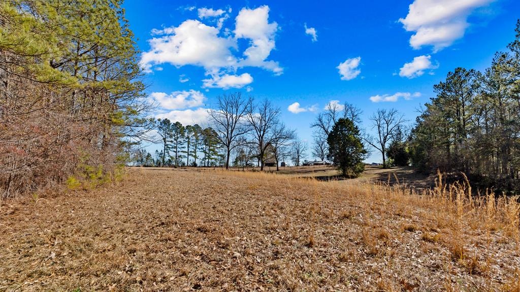 606 Herman Bell Road Mauk, GA 31058 - Photo 54 of 59 Gallery Image 54