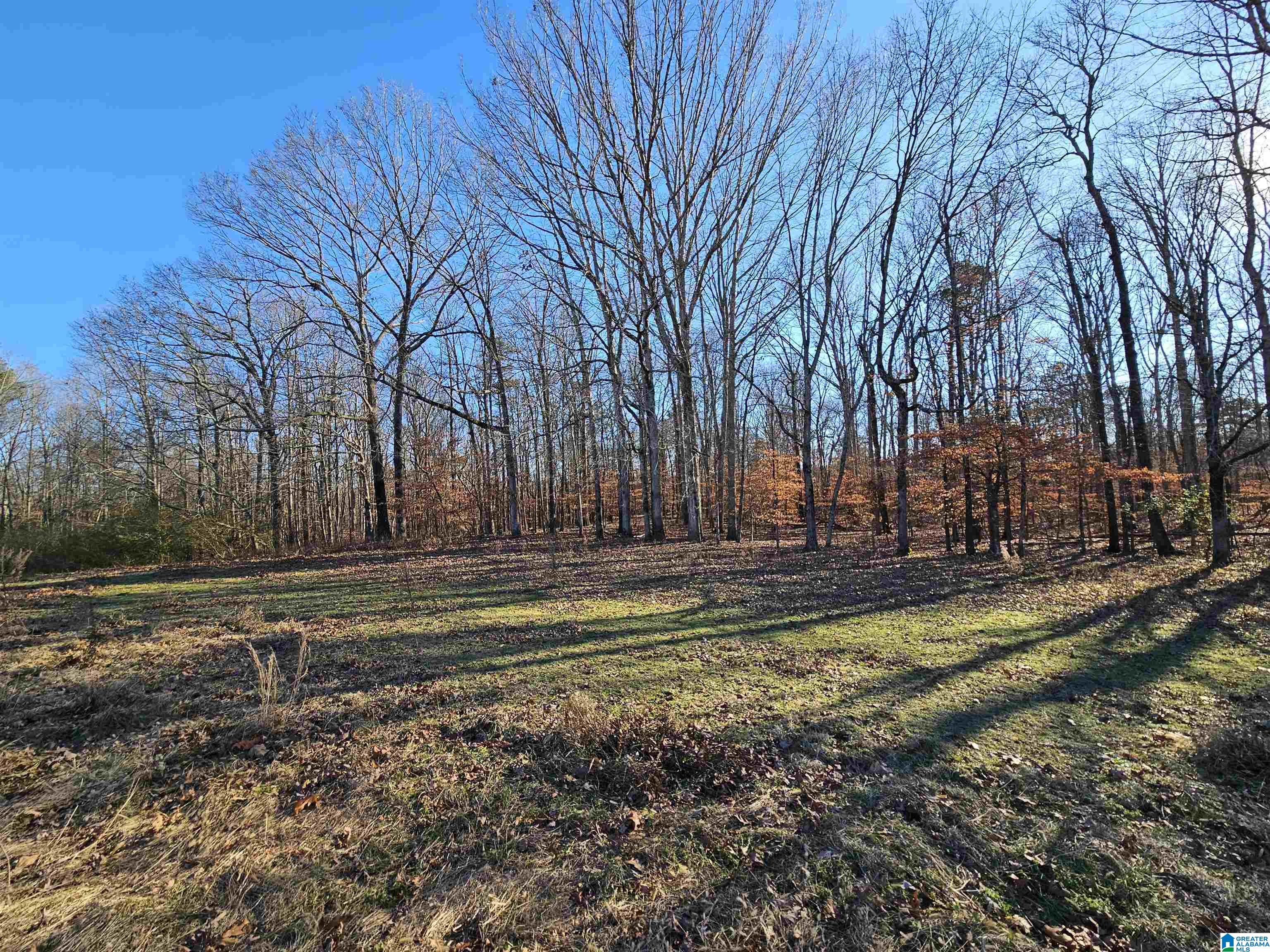 682 County Road 832 Logan, AL 35098 - Photo 8 of 48