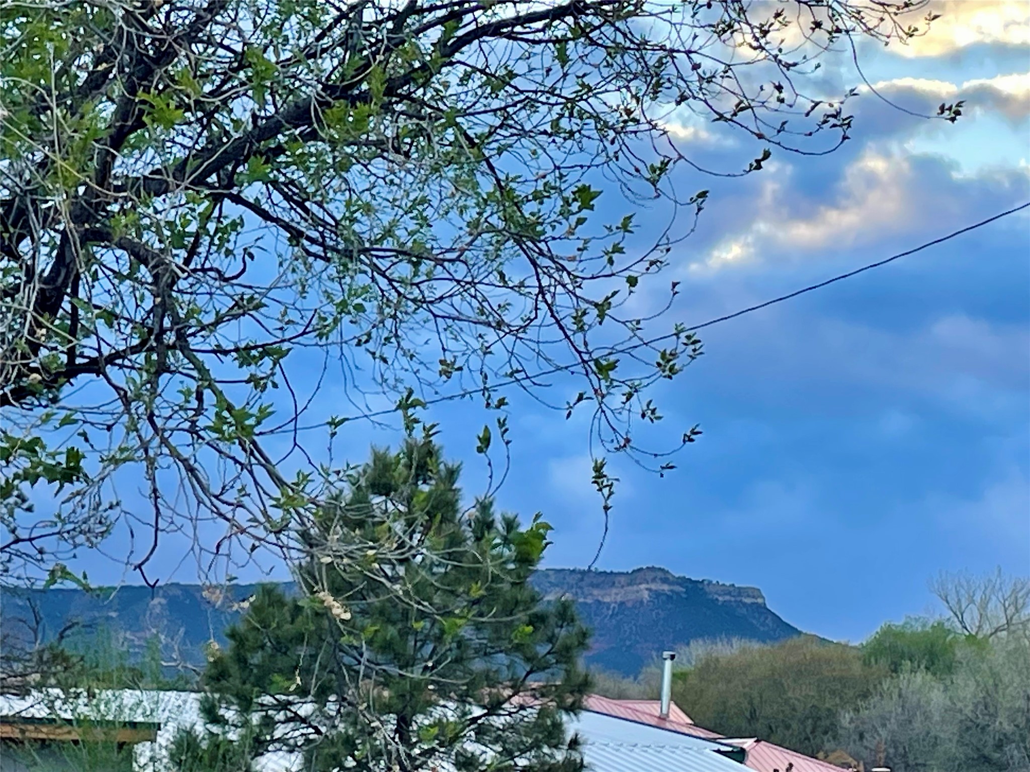 203 Highway 3 Ribera, NM 87560 - Photo 31 of 46 View of Mesa