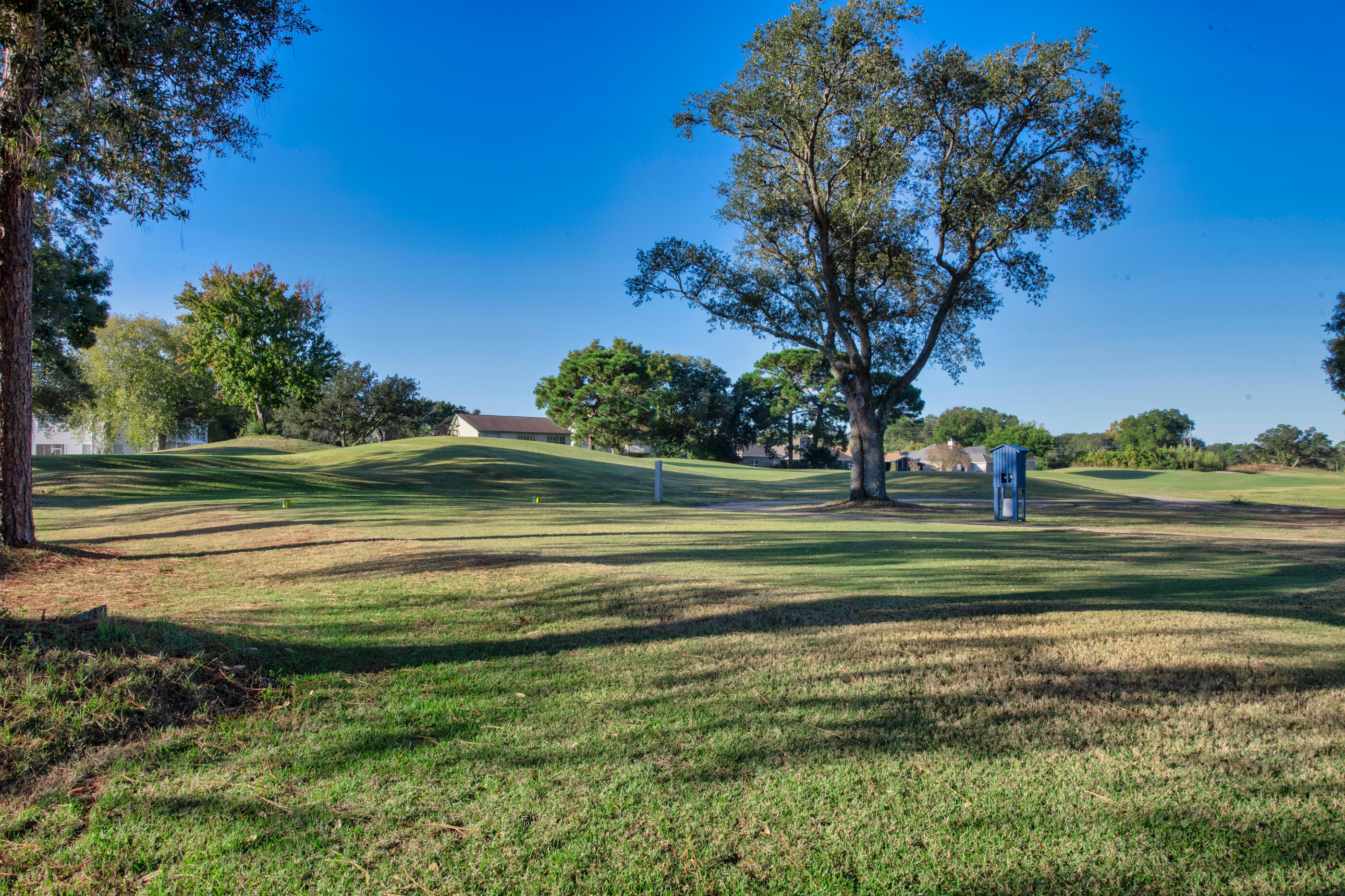 924 Shalimar Point Drive Shalimar, FL 32579 - Photo 39 of 40 a garden with trees in the background