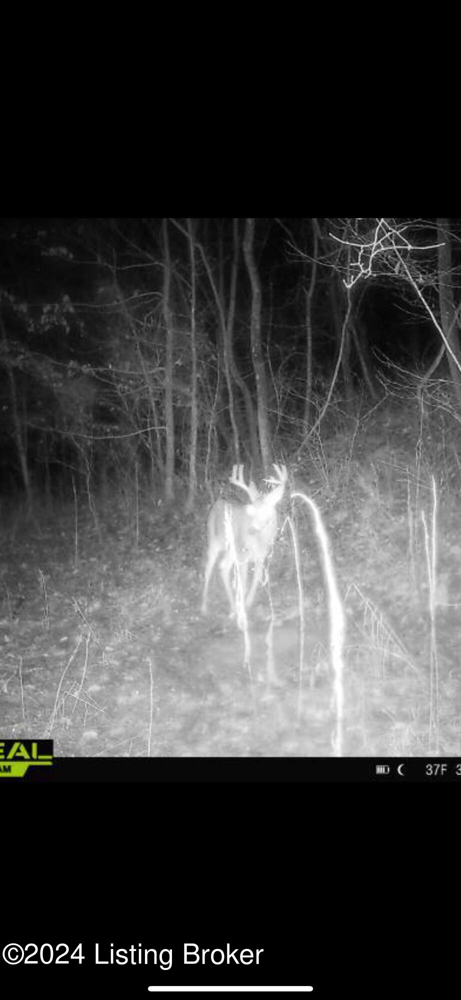 0 Cooper Road Greenup, KY 41144 - Photo 21 of 37 IMG_1046