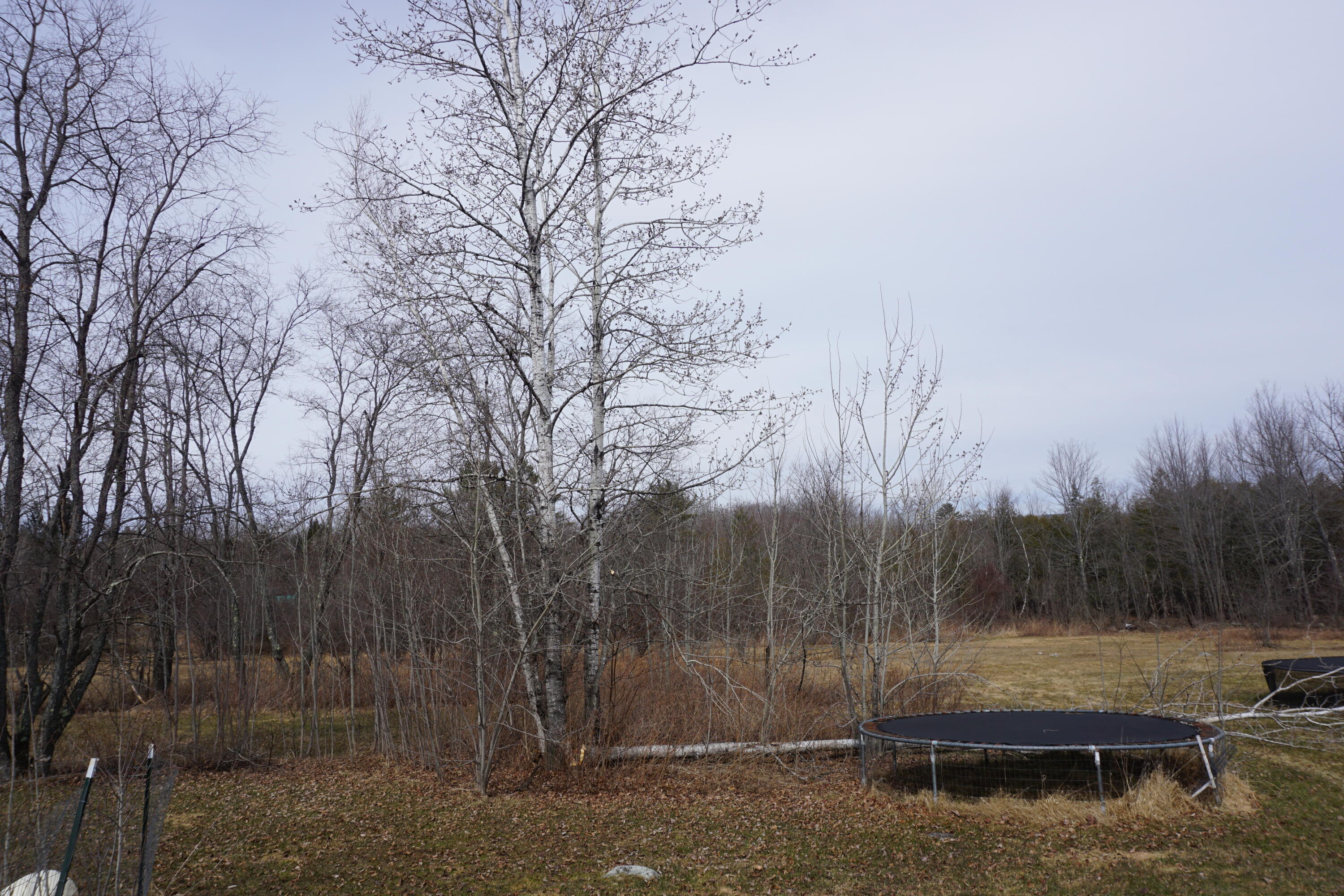 4 Walton Mills Road Cornville, ME 04976 - Photo 57 of 63 yard4