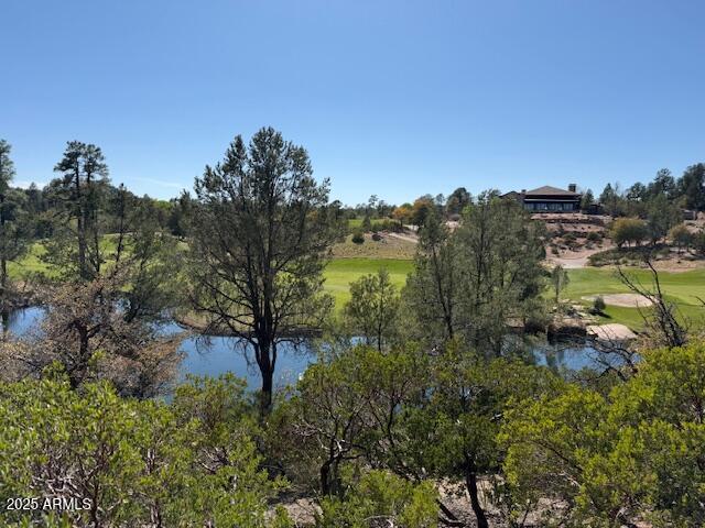 402 South Rainbow Ridge, Unit 275 Payson, AZ 85541 - Photo 1 of 8 view 4