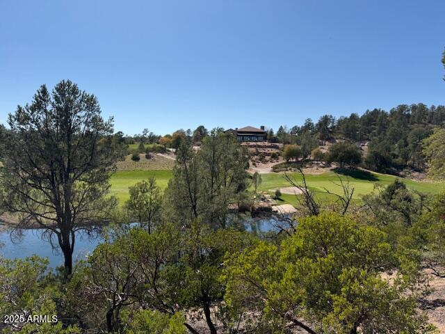 402 South Rainbow Ridge, Unit 275 Payson, AZ 85541 - Photo 2 of 8 view 5