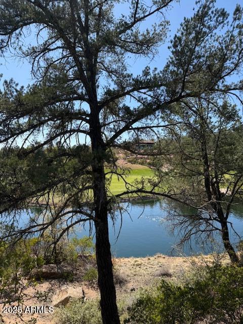 402 South Rainbow Ridge, Unit 275 Payson, AZ 85541 - Photo 5 of 8 view 2