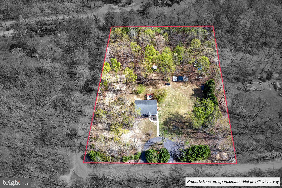 6265 Browning Road Culpeper, VA 22701 - Photo 3 of 74