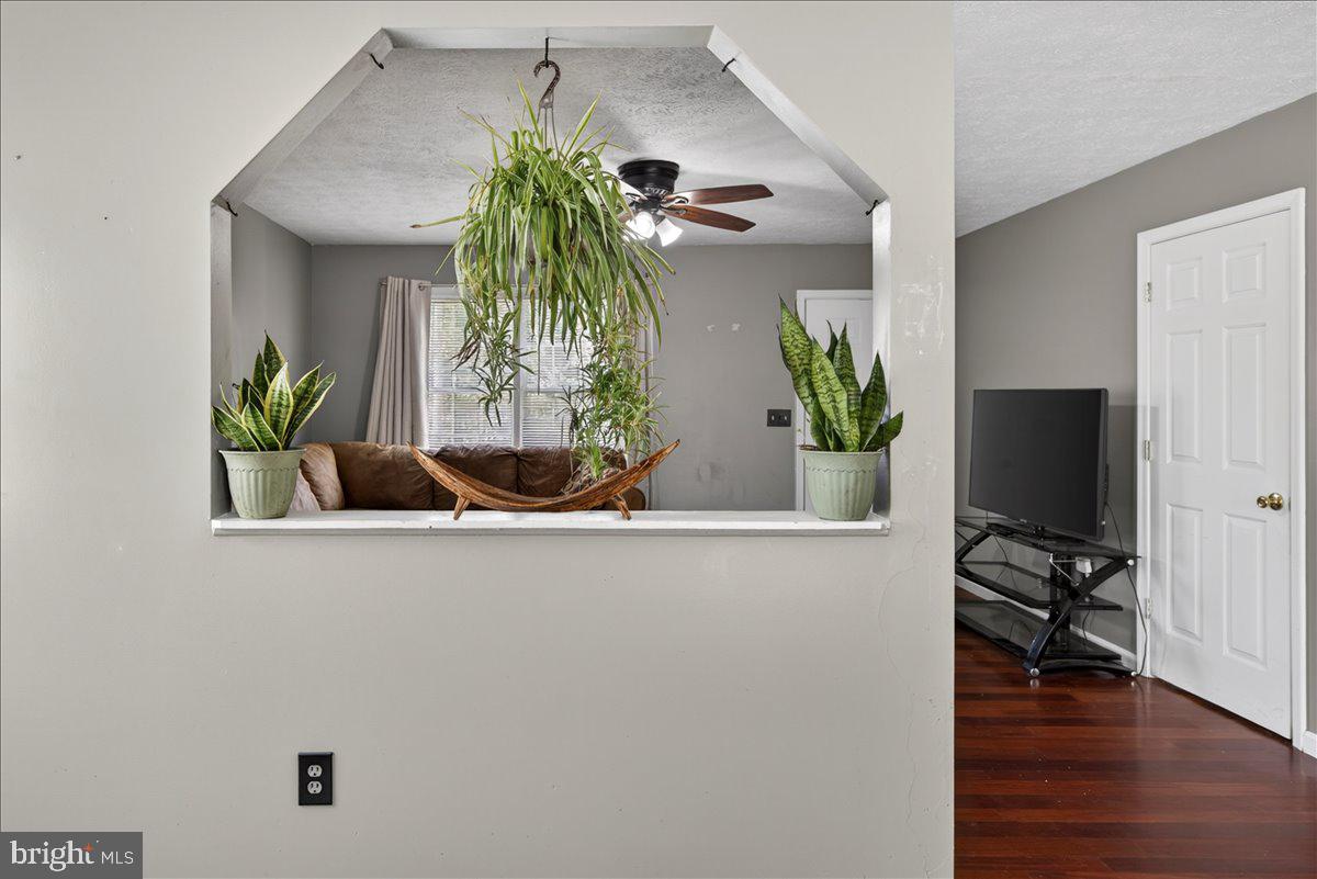 6265 Browning Road Culpeper, VA 22701 - Photo 38 of 74 a potted plant sitting on a kitchen counter top of a house
