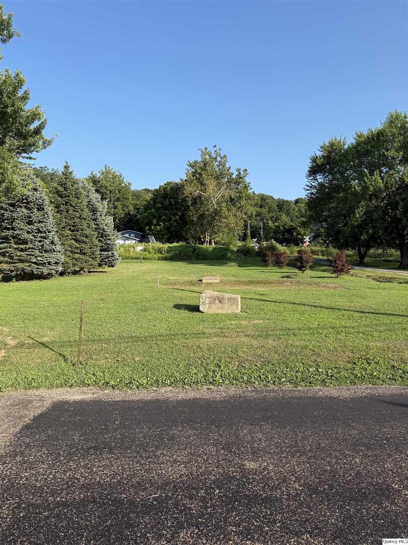 600 East First Street Dallas City, IL 62330 - Photo 3 of 3