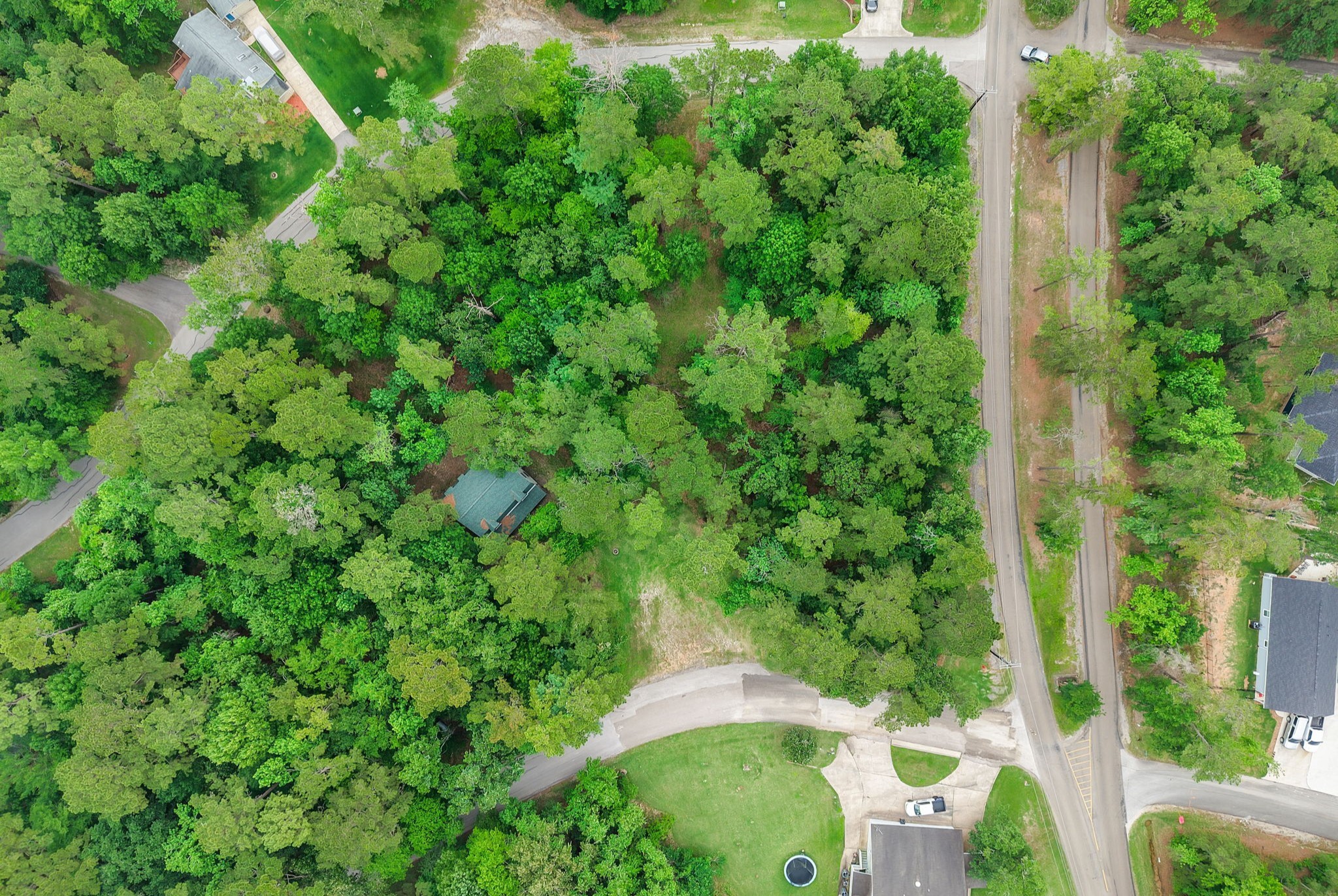 14 North Fairway Loop Coldspring, TX 77331 - Photo 7 of 38 View of the home from above