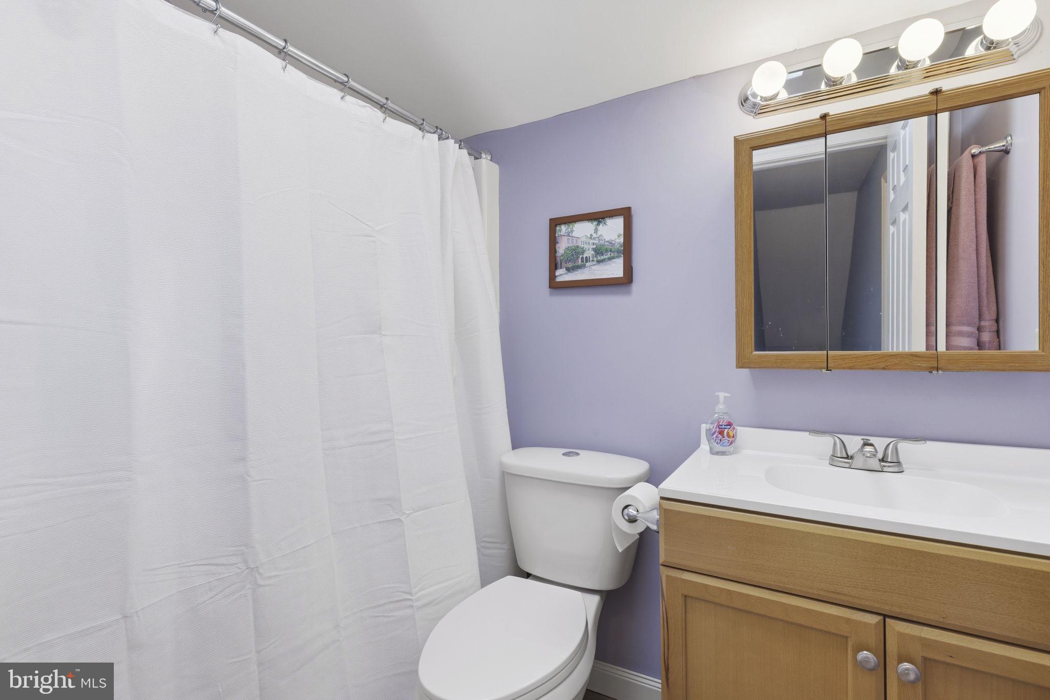 3831 Wilkinson Road Havre de Grace, MD 21078 - Photo 24 of 51 a white toilet sitting next to a bathroom sink