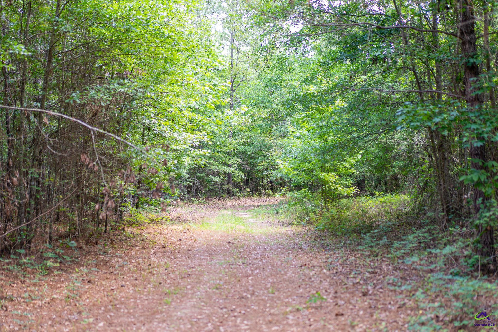 2050 Bible Camp Road Byron, GA 31008 - Photo 73 of 74