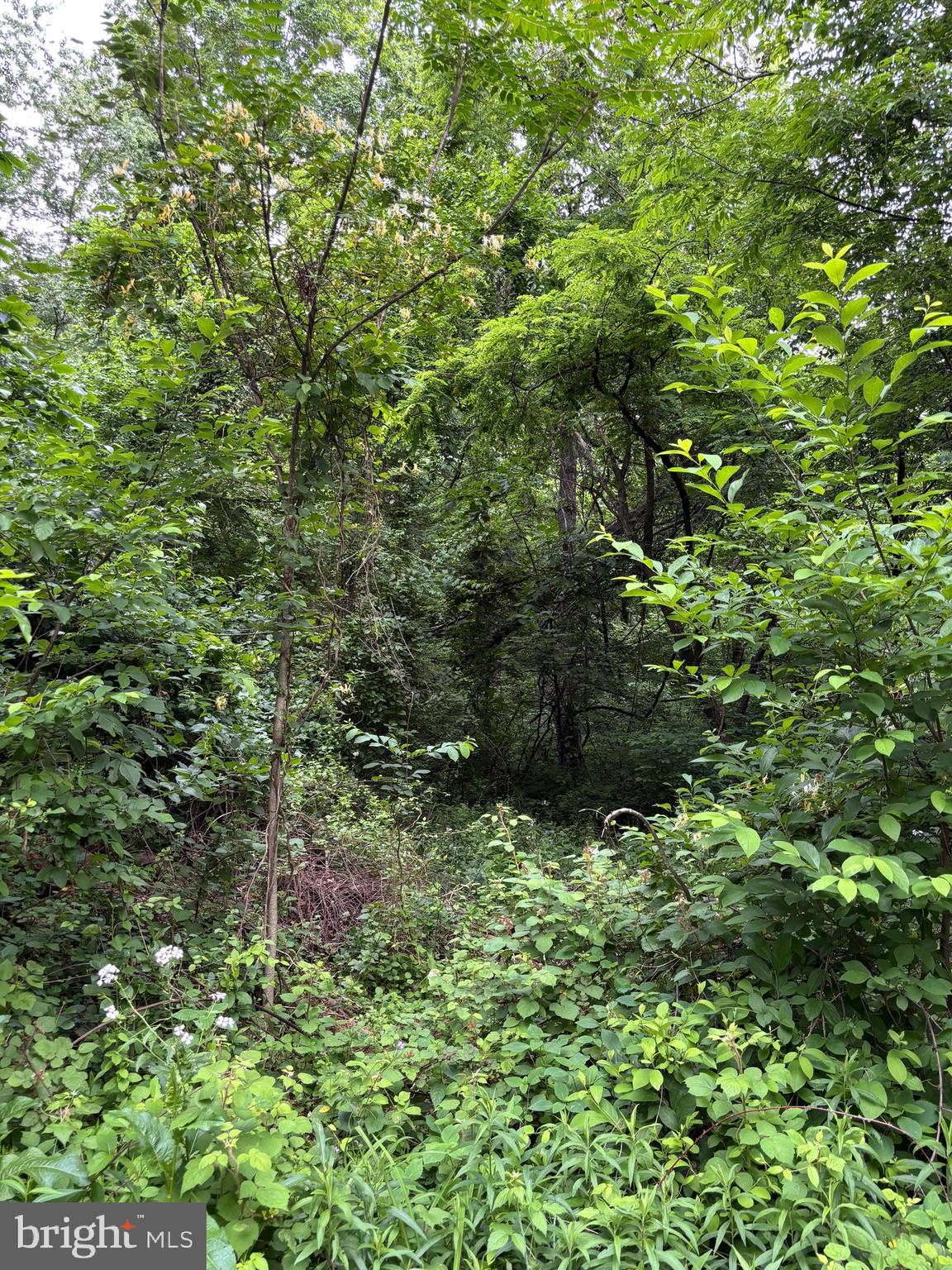 5706 Ridge Road Cascade, MD 21719 - Photo 7 of 7