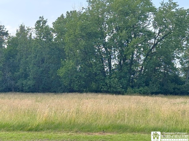 151 West Chestnut Street Dunkirk, NY 14048 - Photo 14 of 32
