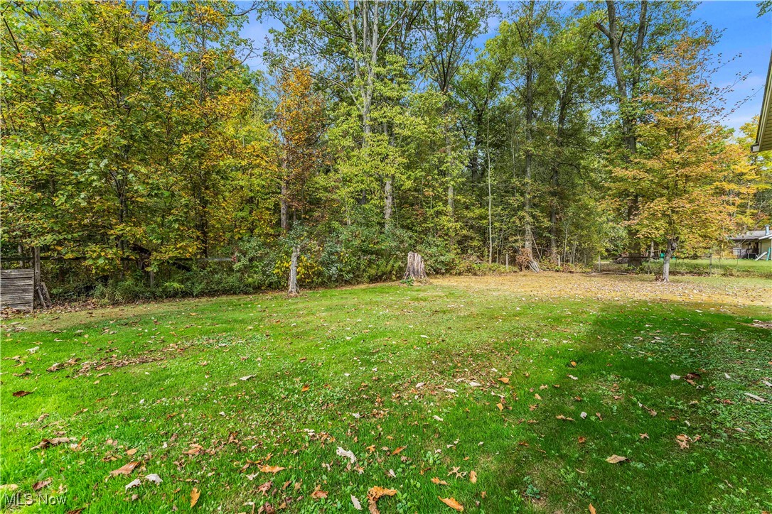 10990 Reed Road Columbia Station, OH 44028 - Photo 31 of 34 Gallery Image 31