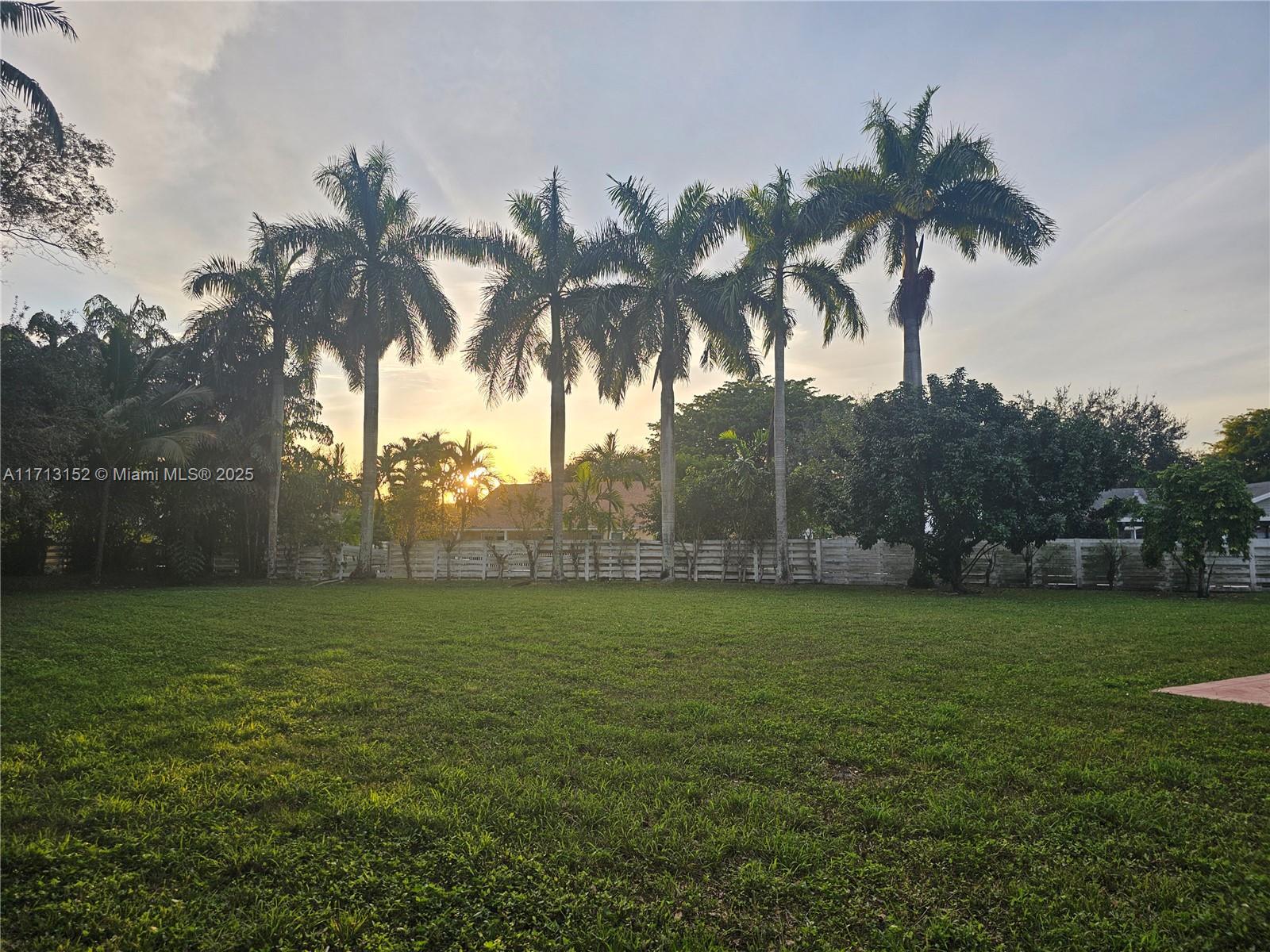 14630 Southwest 148th Court Miami, FL 33196 - Photo 15 of 15 a view of a yard with a palm tree