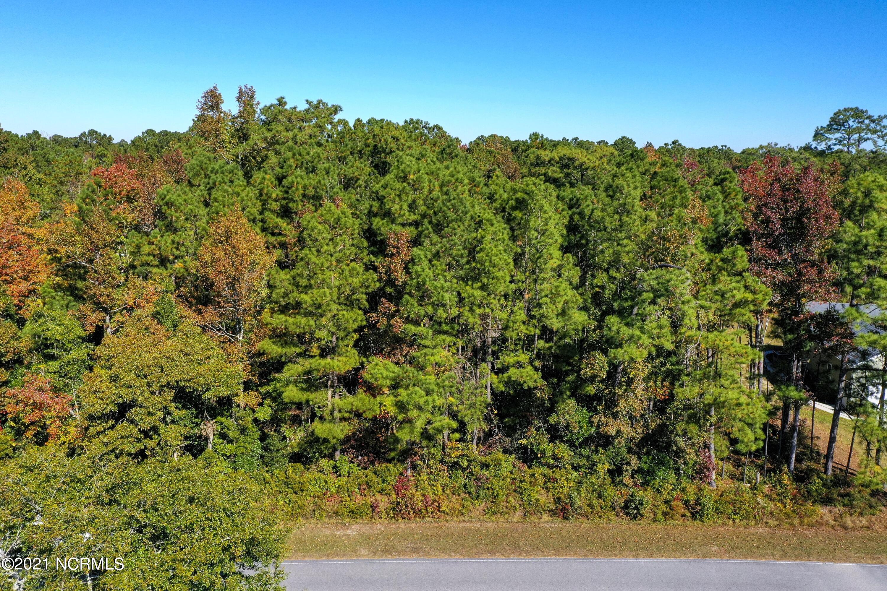 29 Atkinson Loop Road Hampstead, NC 28443 - Photo 4 of 19 28 and 29 Atkinson Loop - Aerials_3