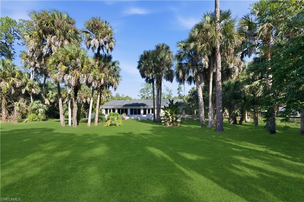 4630 11th Avenue Southwest Naples, FL 34116 - Photo 40 of 50 a big yard with palm trees