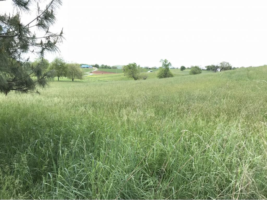 0 Barren Valley Road, Unit 11 Chuckey, TN 37641 - Photo 4 of 6 Photo 3
