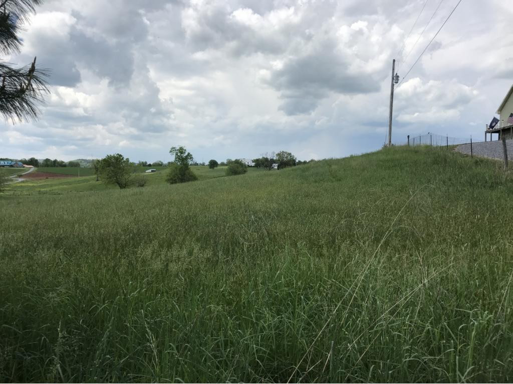 0 Barren Valley Road, Unit 11 Chuckey, TN 37641 - Photo 5 of 6 Photo 4
