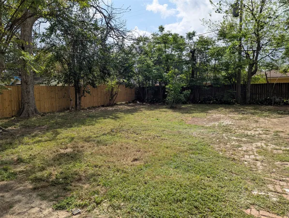 a view of a yard with trees