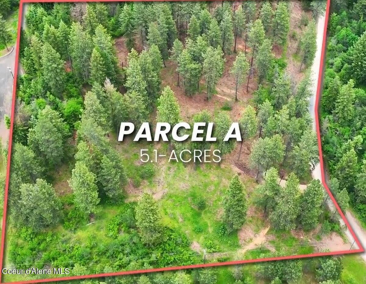 Parcel A South Dunlap Road Harrison, ID 83833 - Photo 22 of 27 Overview Parcel A