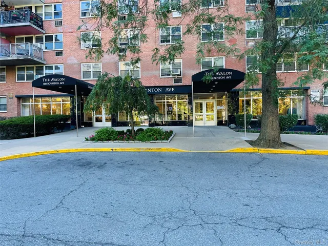 a view of pool with lawn chairs and large trees