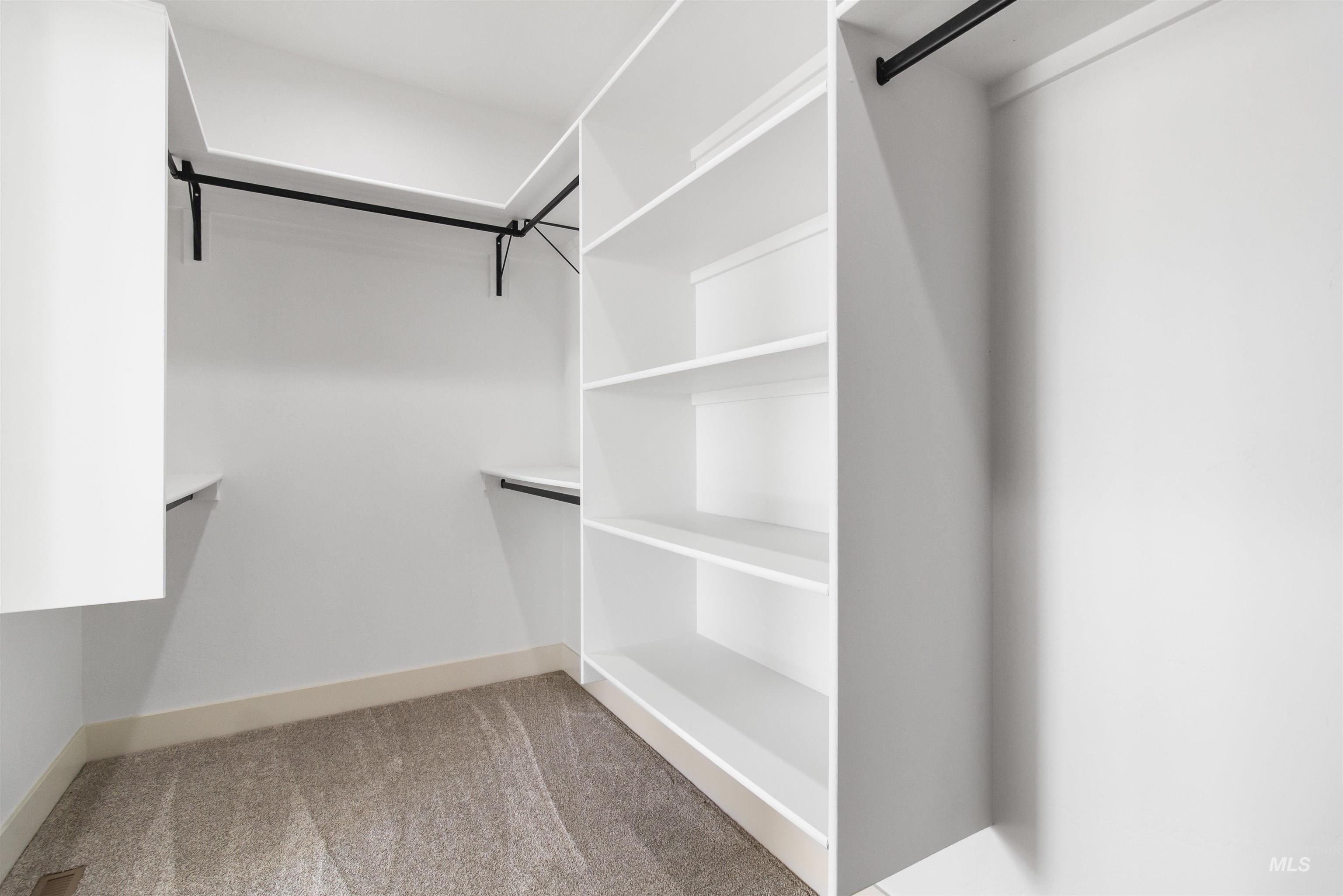 514 Full Moon Way Twin Falls, ID 83301 - Photo 20 of 49 Walk in closet with light colored carpet