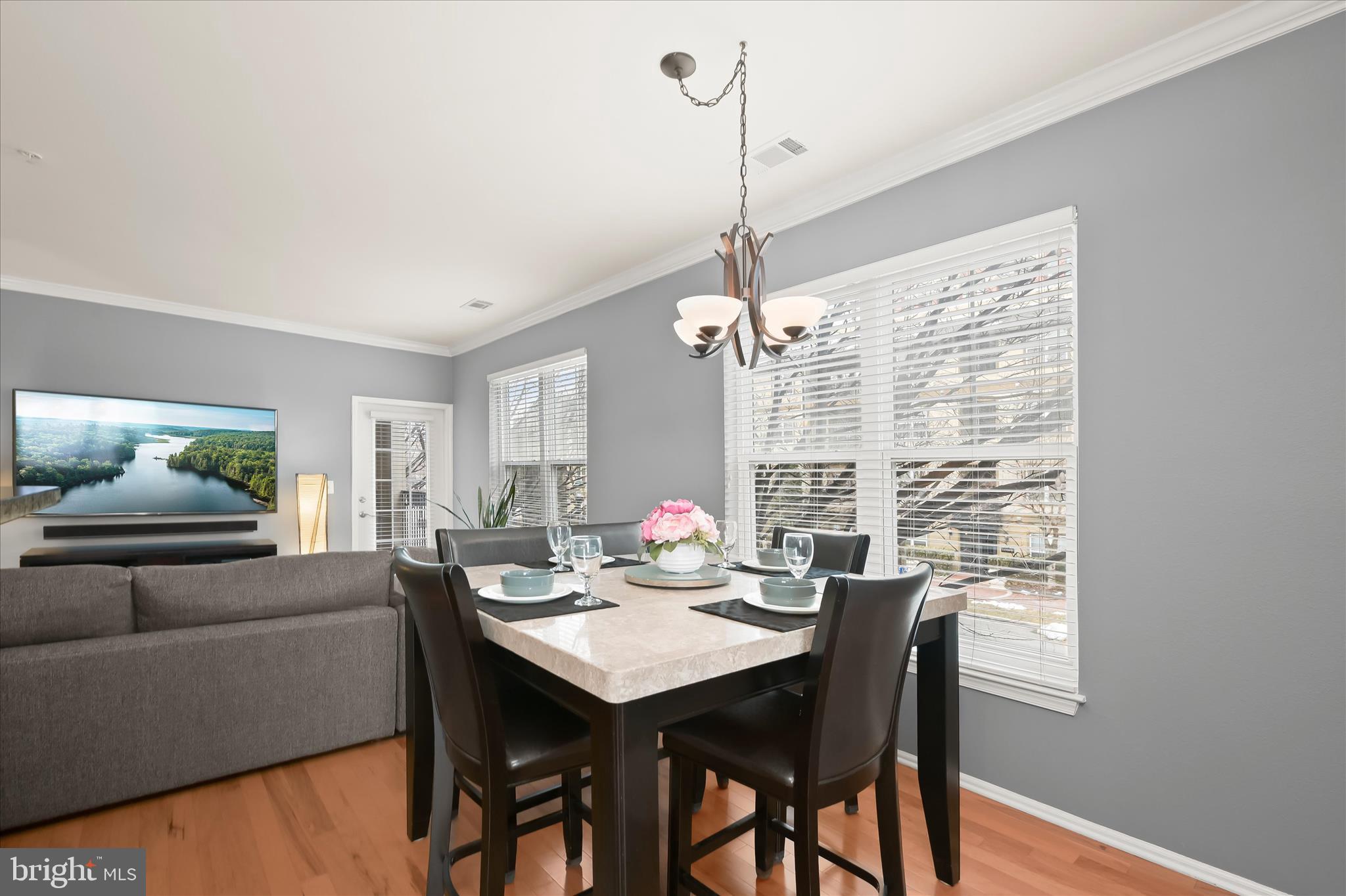 11800 Old Georgetown Road, Unit 1541 North Bethesda, MD 20852 - Photo 10 of 48 Old Georgetown Rd016