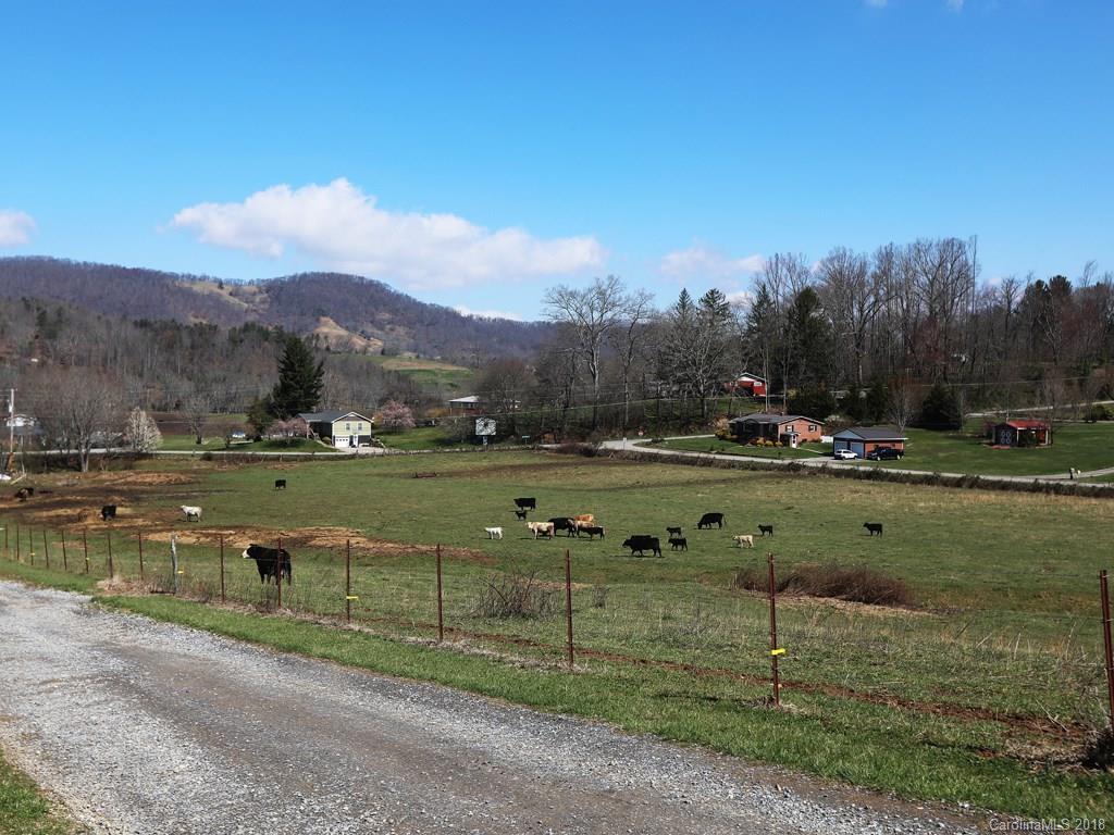 0 Triple R Drive Canton, NC 28716 - Photo 1 of 12