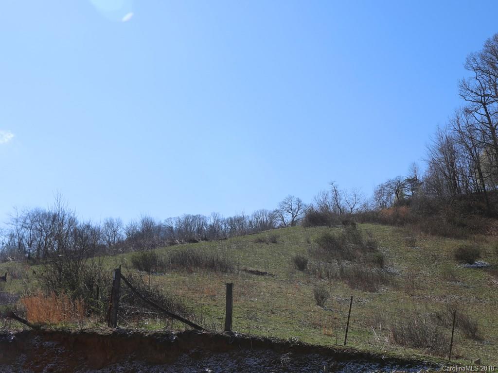 0 Triple R Drive Canton, NC 28716 - Photo 5 of 12