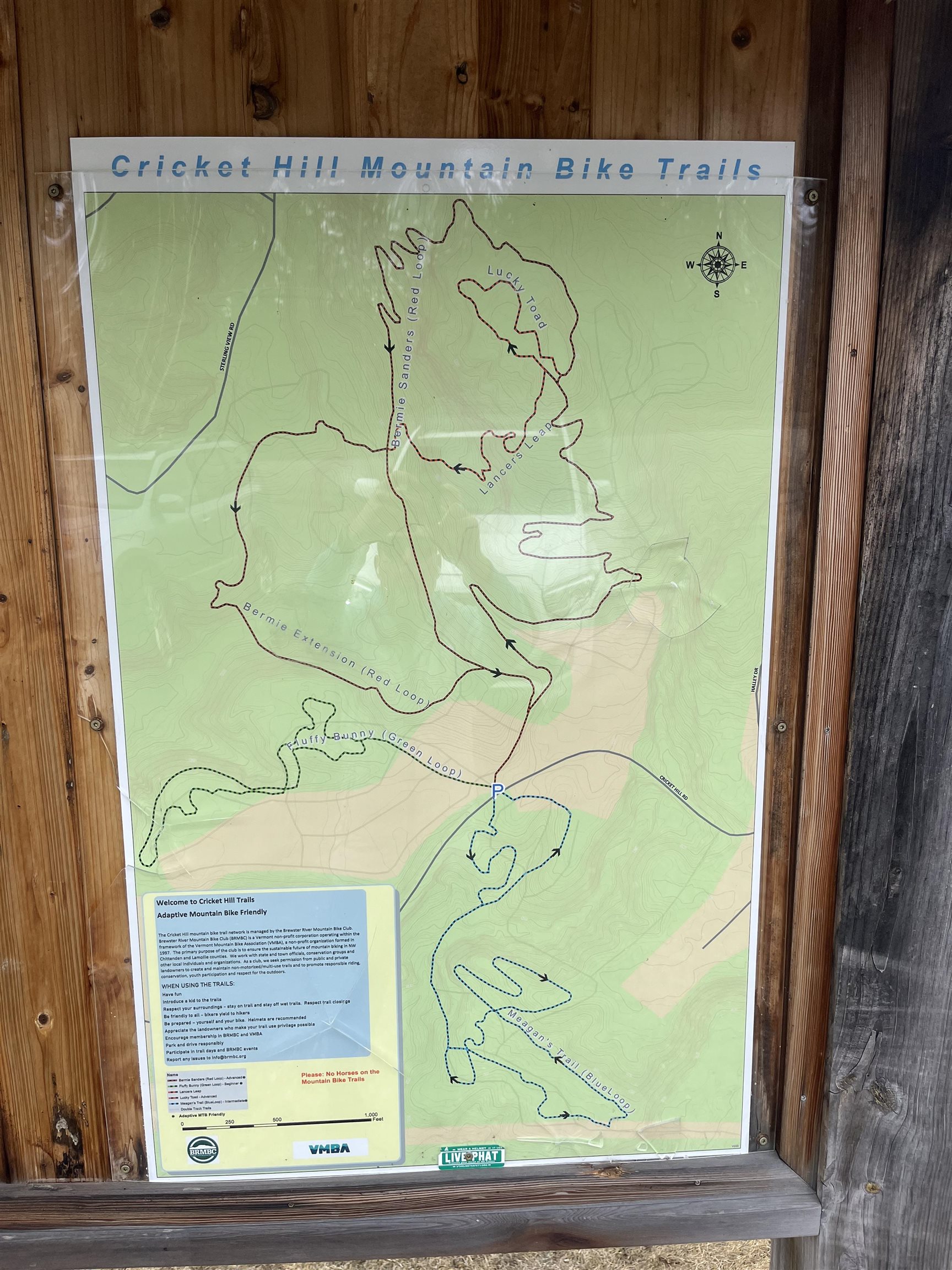 Lot 4 Haley Drive, Unit LOT 4 Hyde Park, VT 05655 - Photo 10 of 10