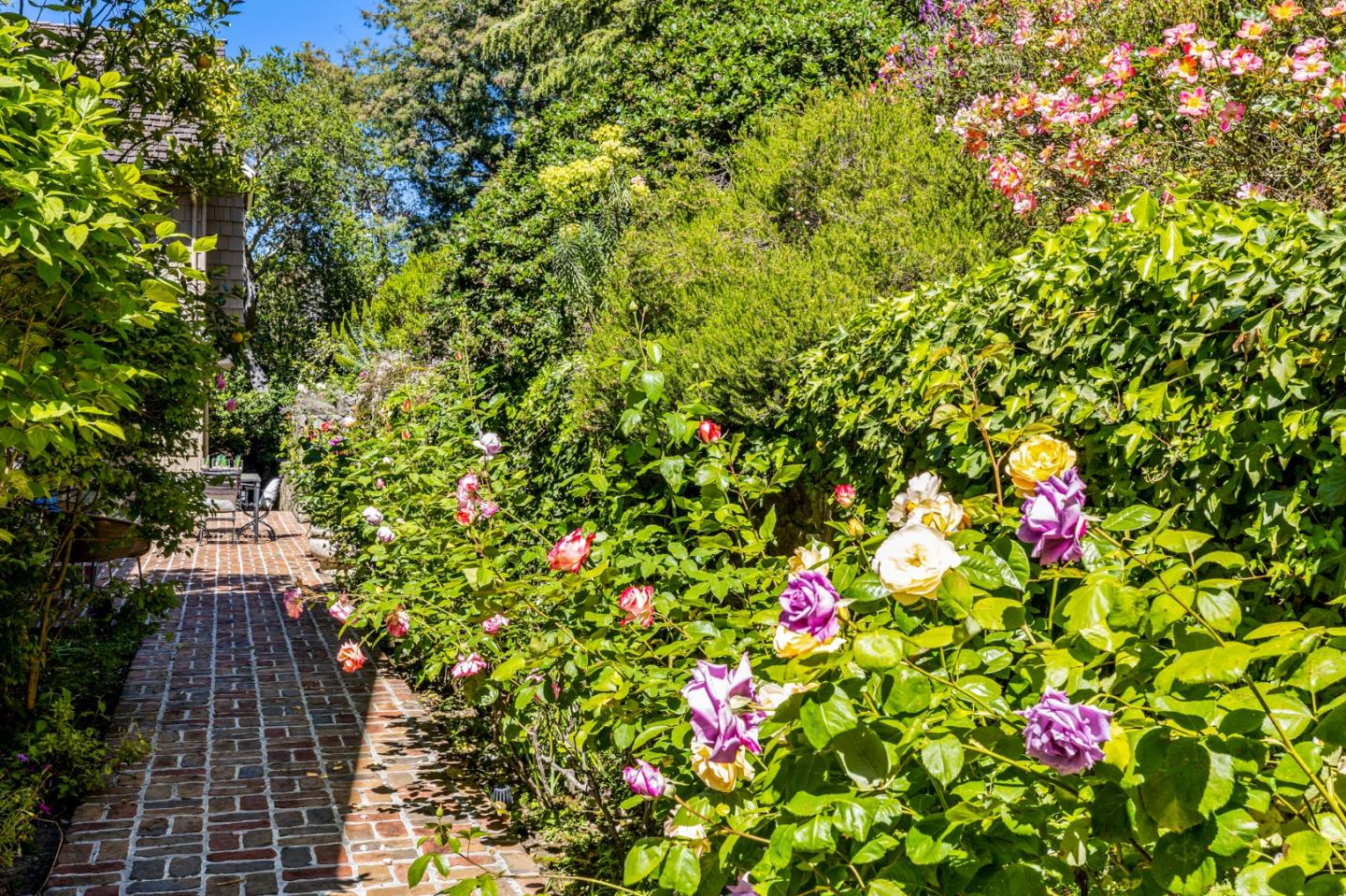 989 Hayne Road Hillsborough, CA 94010 - Photo 100 of 100