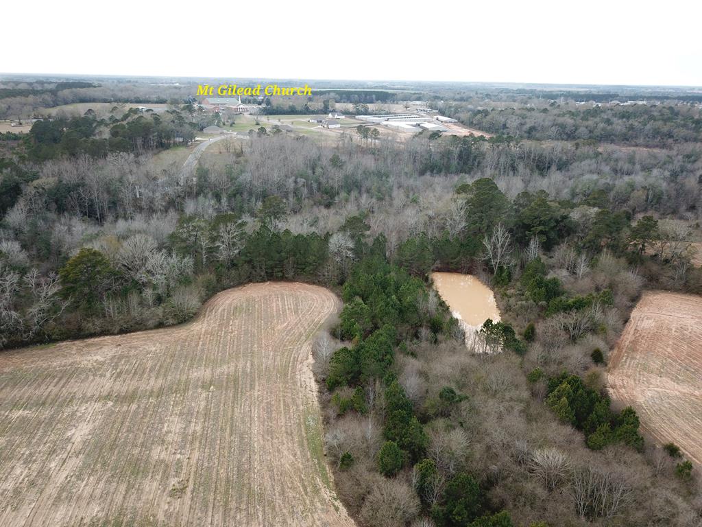 50.45-acres Trawick Road Dothan, AL 36301 - Photo 46 of 62