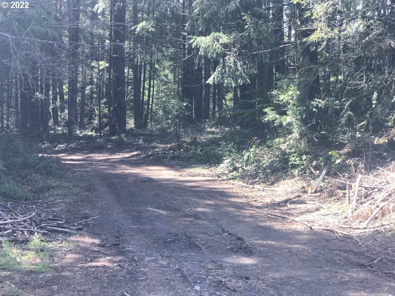 56989 North Bank Road Blue River, OR 97413 - Photo 8 of 21 Driveway