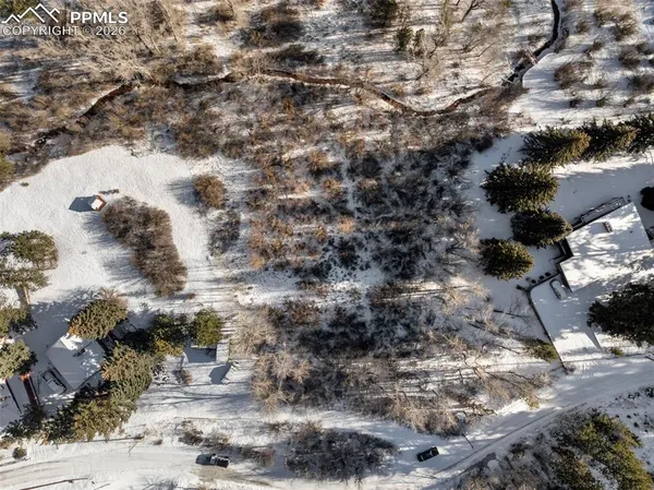 a view of a lot of trees with yard