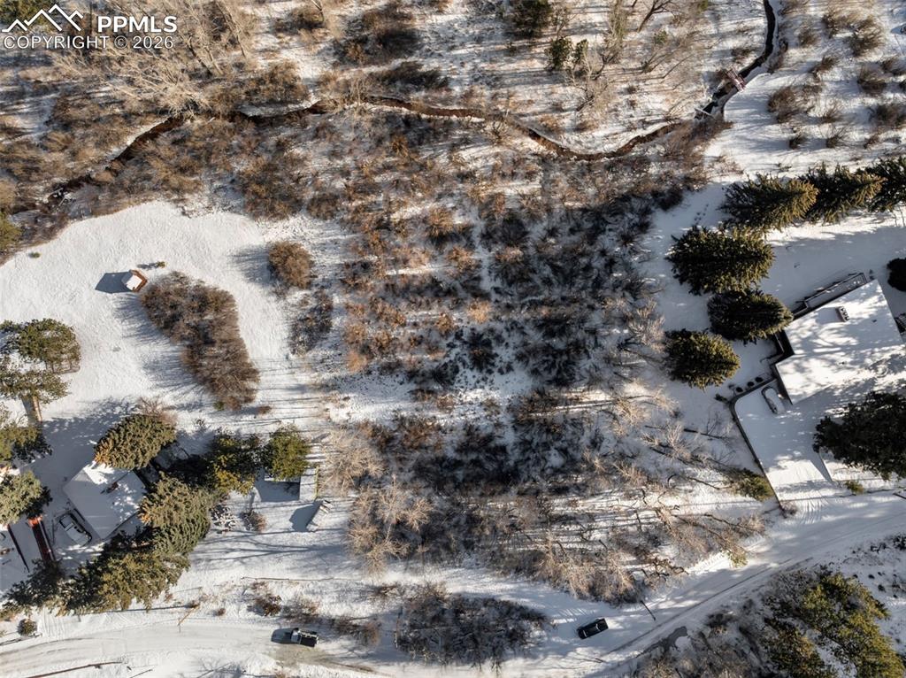 9660 Fountain Road Cascade, CO 80809 - Photo 1 of 21 a view of a lot of trees with yard